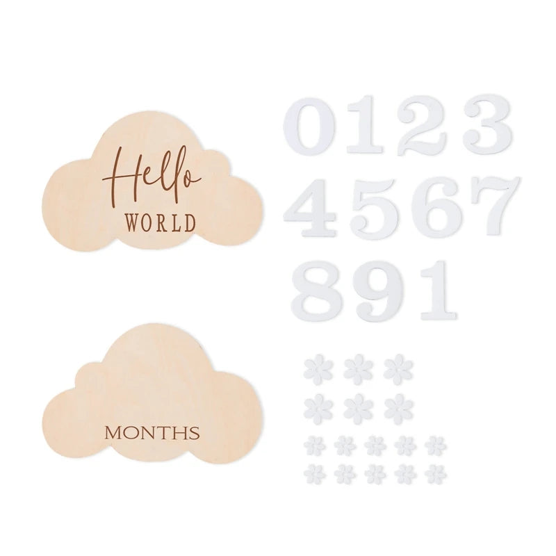 Wooden Baby Month Milestone