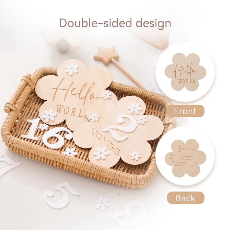 Wooden Baby Month Milestone