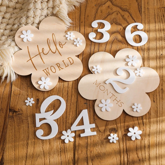 Wooden Baby Month Milestone
